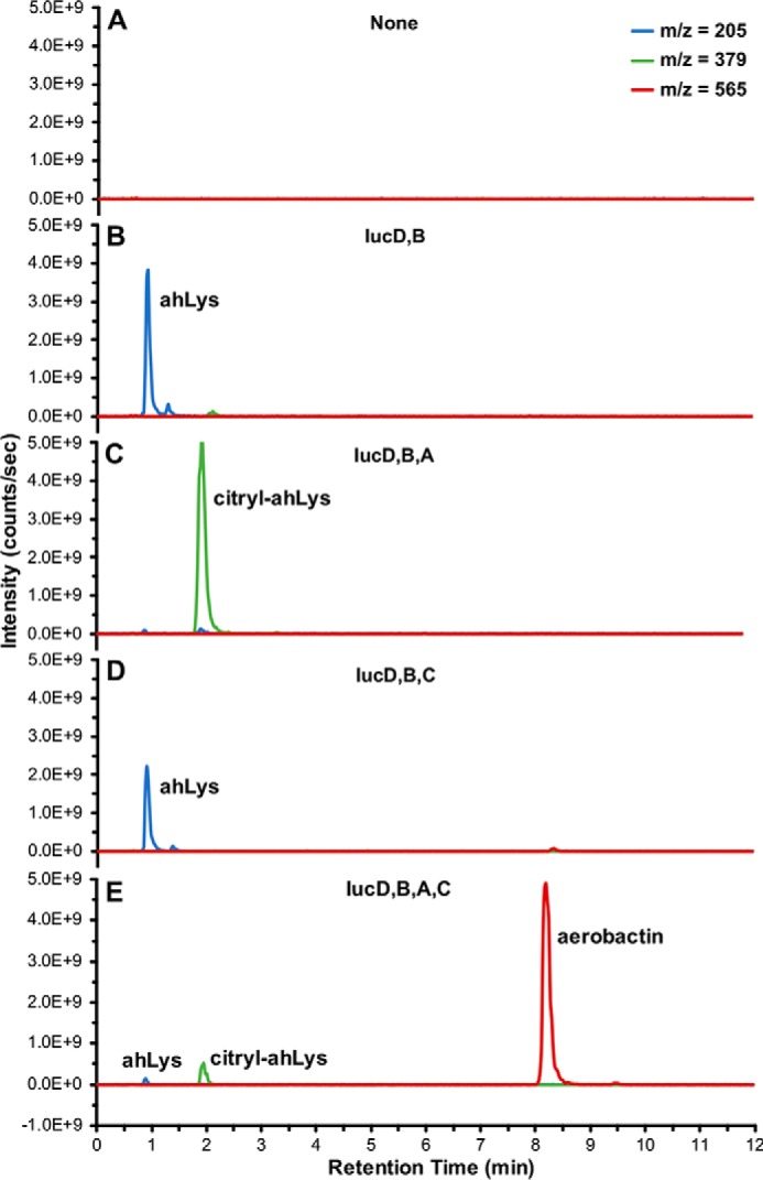 Figure 3.