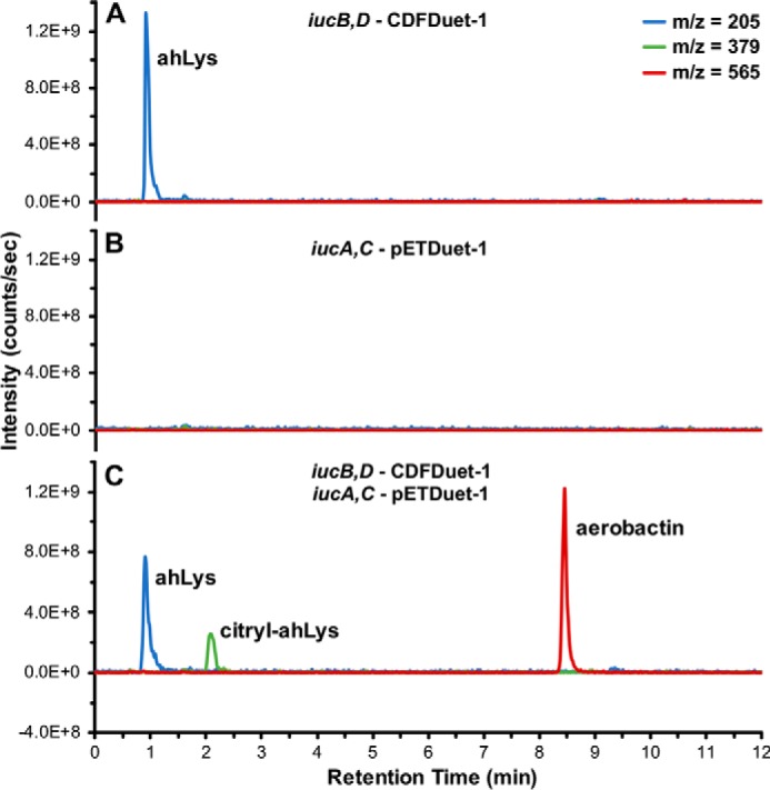 Figure 2.