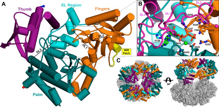 Figure 6.