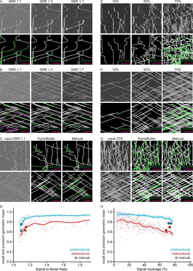 Figure 1—figure supplement 5.