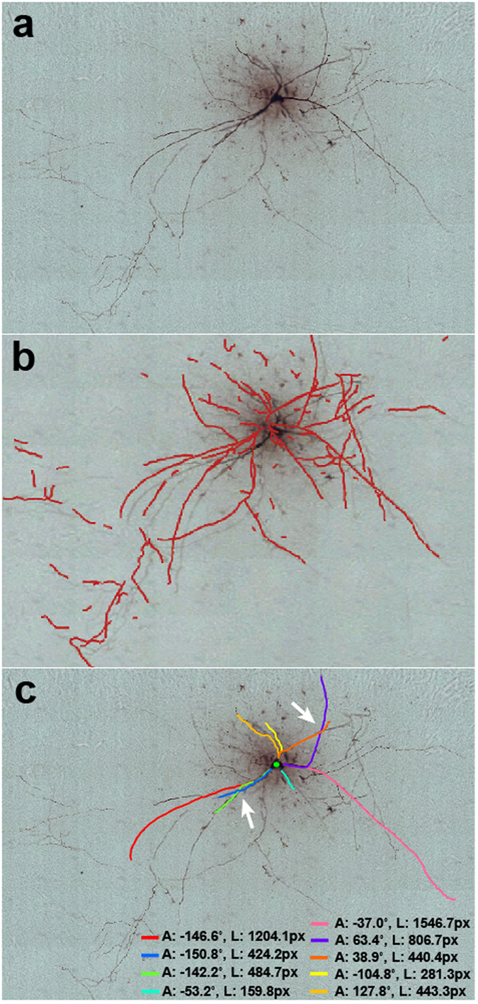 Figure 7