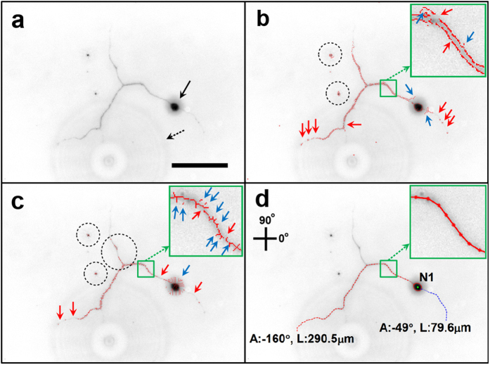 Figure 5