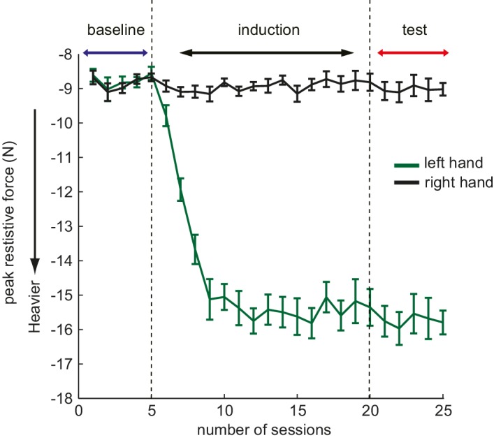 Figure 1—figure supplement 1.