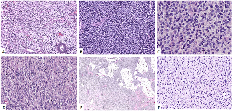 Figure 2: