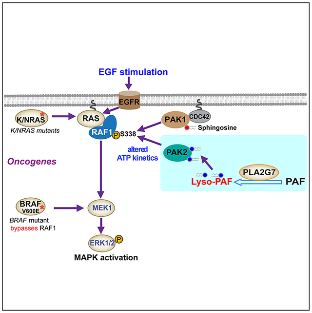 graphic file with name nihms-1799092-f0008.jpg