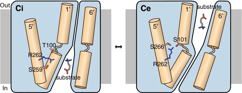 Fig. 5.