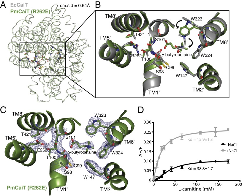 Fig. 3.