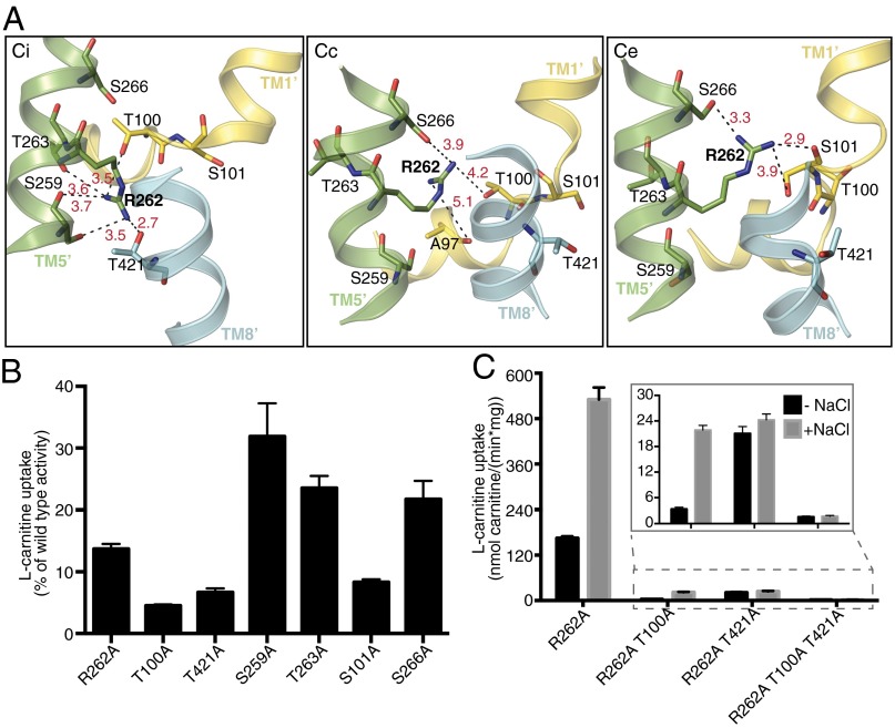 Fig. 4.