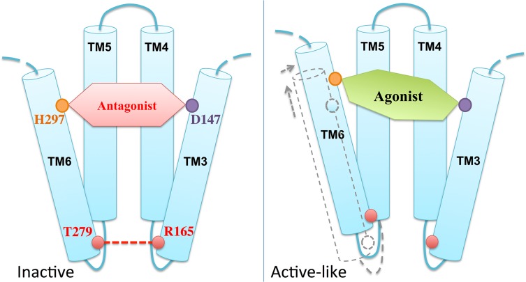 Fig 7