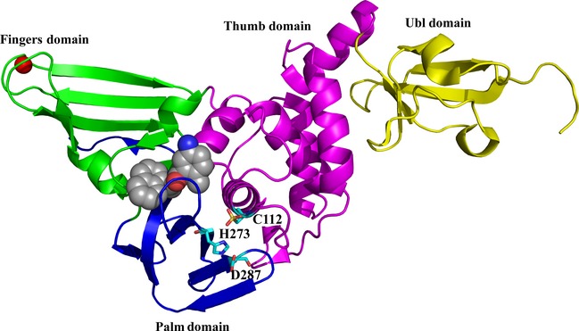 Figure 4