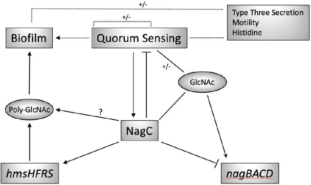 Fig. 9.