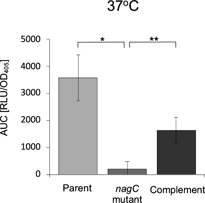 Fig. 4.