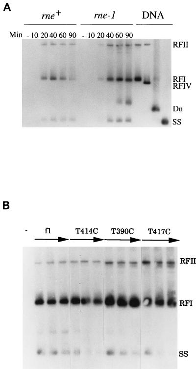 FIG. 6