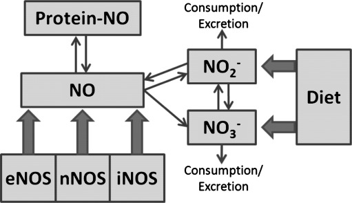 FIG. 1.