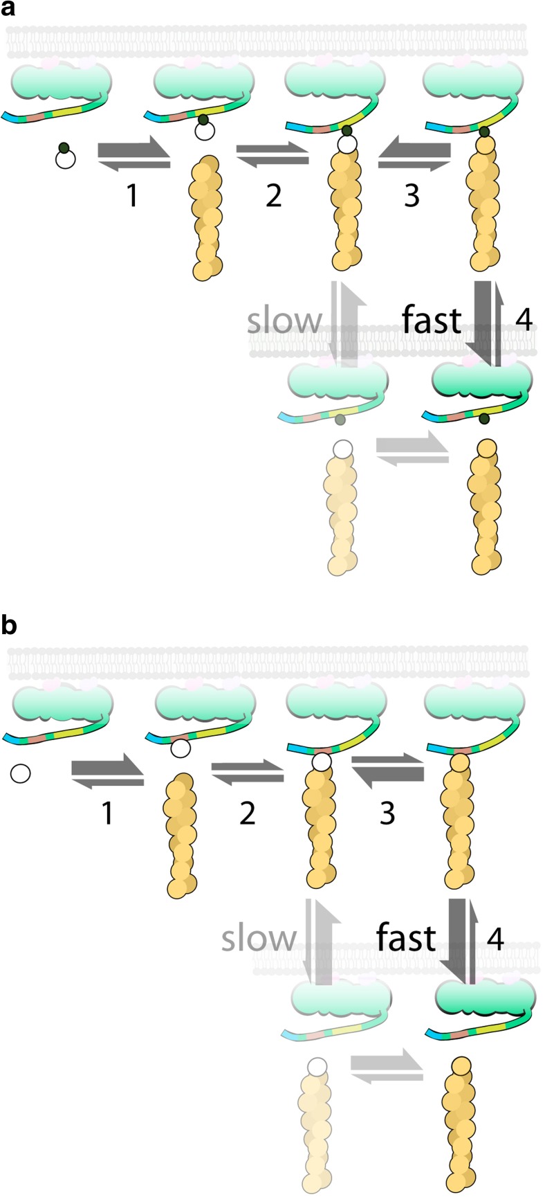 Fig. 4