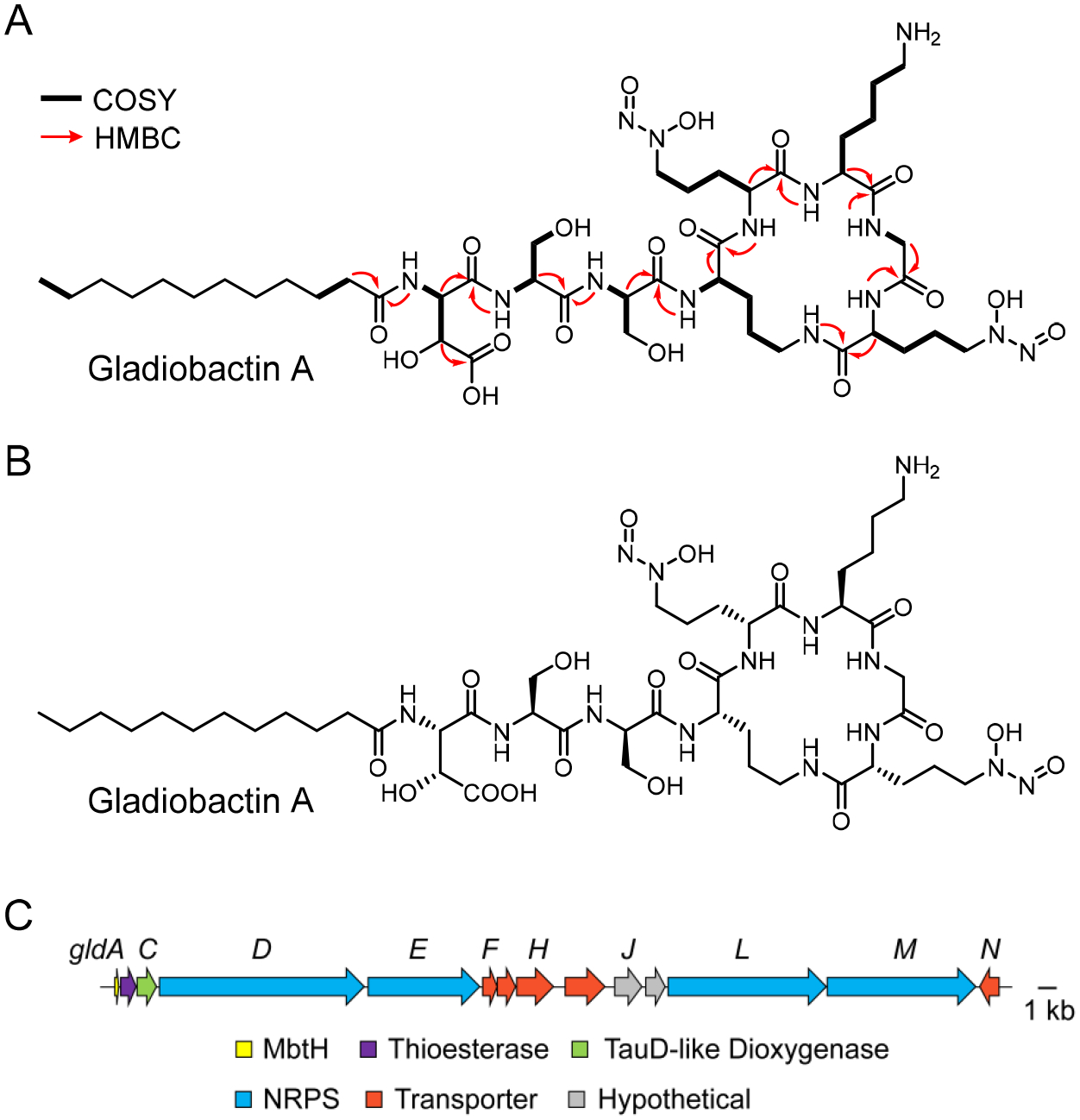 Figure 5.