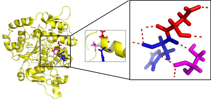 Fig. 12