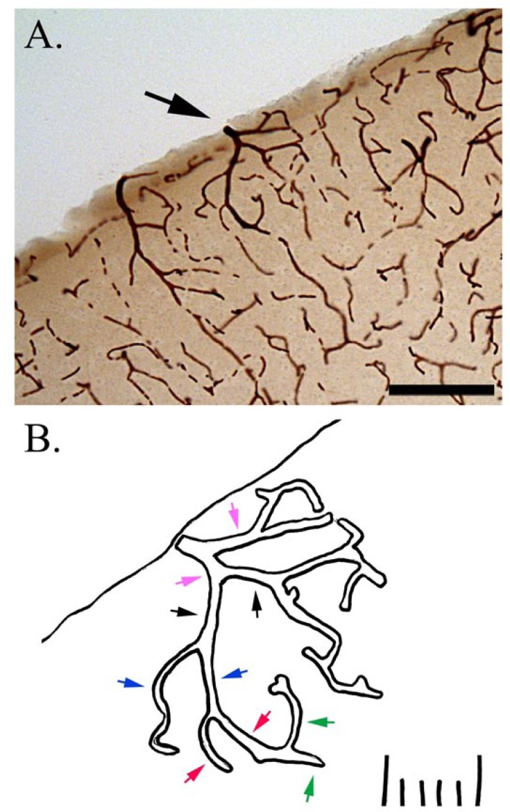 Figure 10.