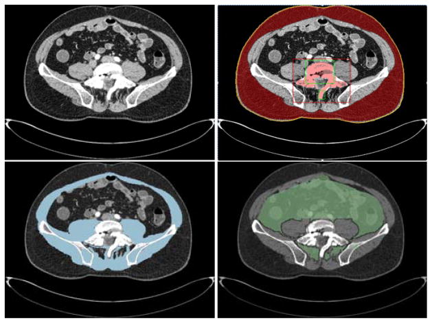 Fig. 4