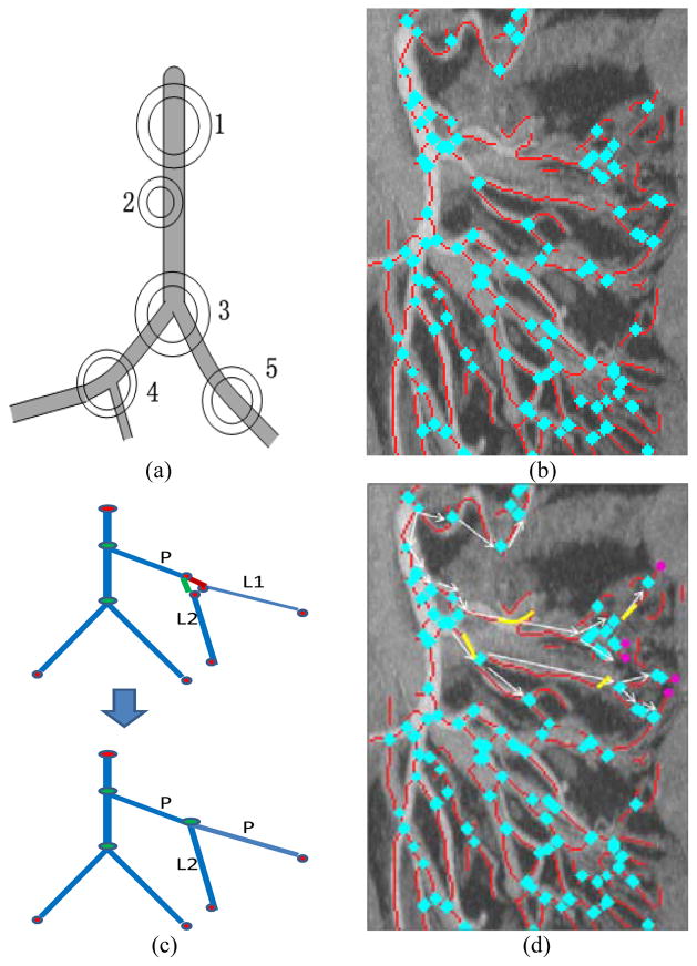 Fig. 10