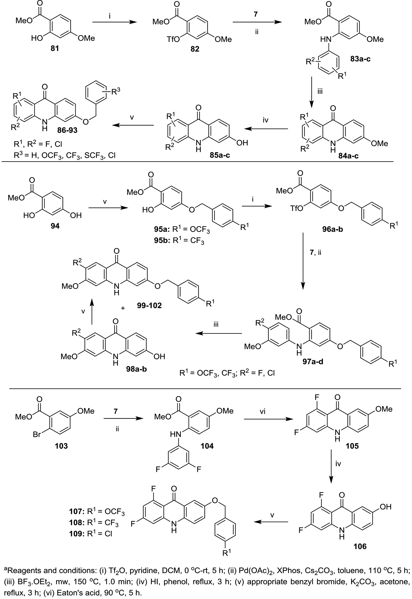 Scheme 3.