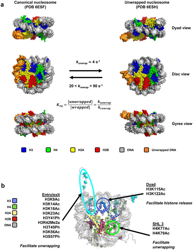 Figure 2: