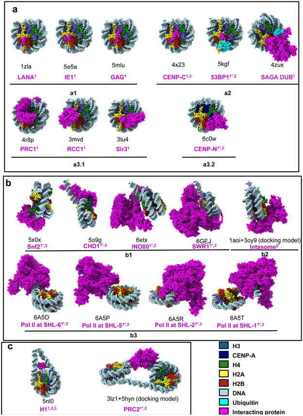 Figure 3: