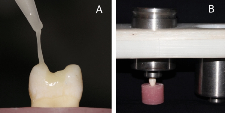 Fig. 10