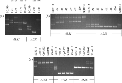 FIG. 3.