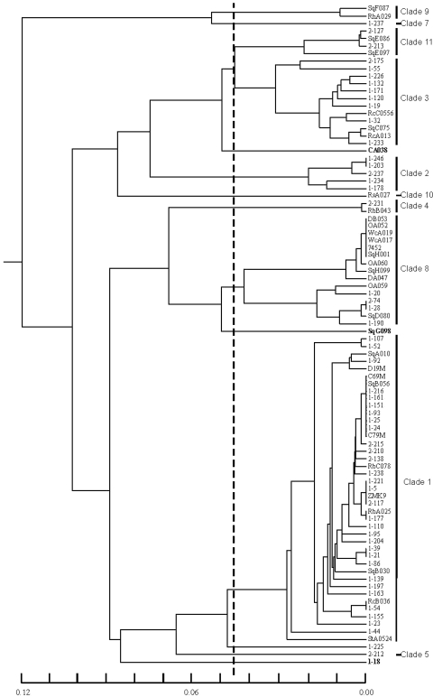 FIG. 2.