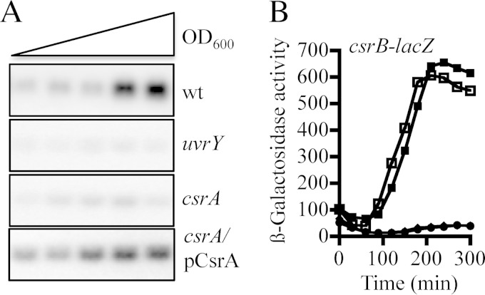 FIG 1