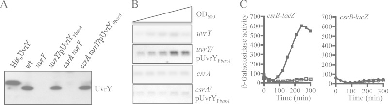 FIG 5