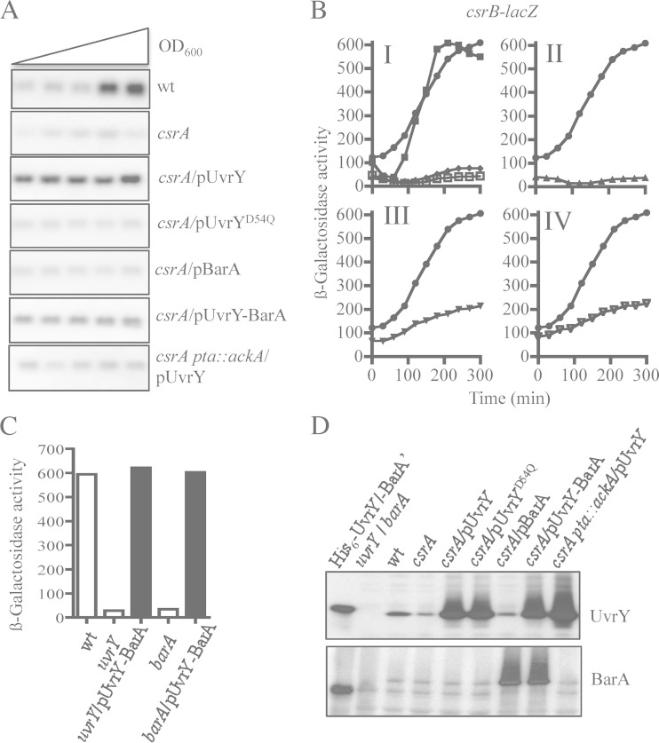 FIG 4