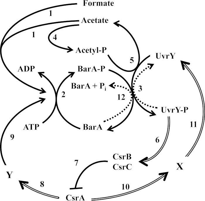 FIG 7