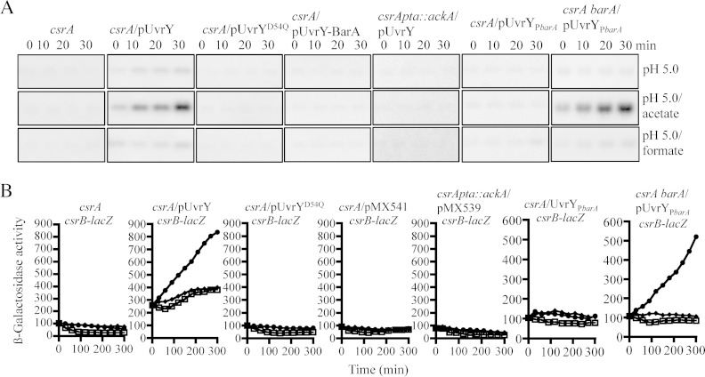 FIG 6