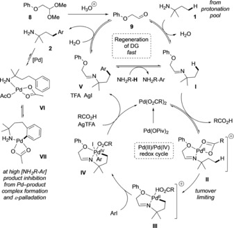 Scheme 8