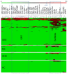 (sul = sulfatide, CTH = ceramide trihexosides, GA1 = asialo-GM1, PS = phosphatidylserine, SGPG - sulfated glucuronyl paragloboside)