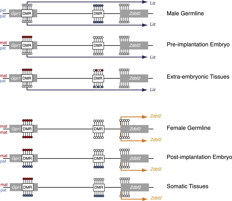 Figure 6.