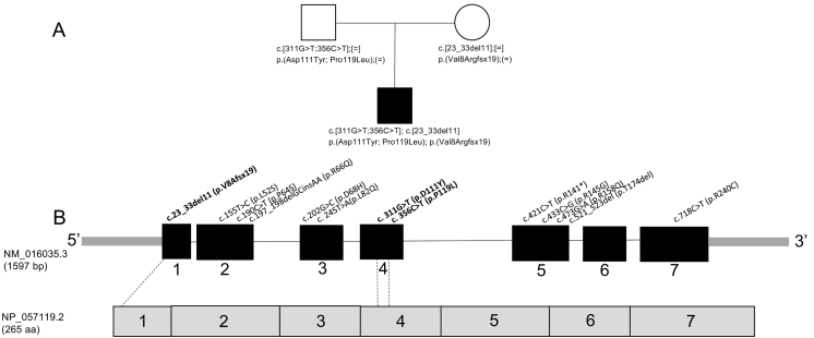 Fig. 2.