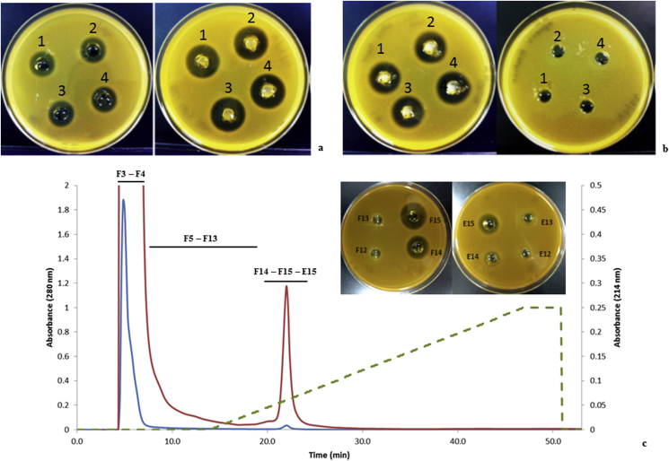 Figure 2