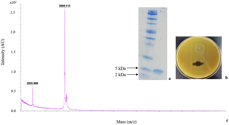 Figure 3