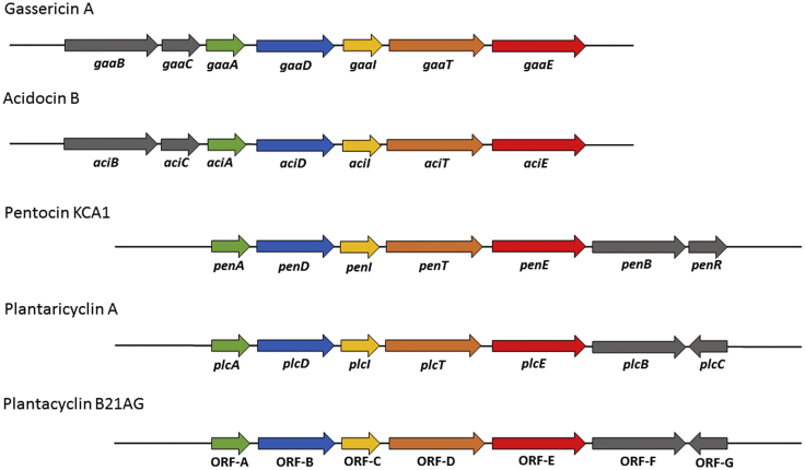 Figure 7