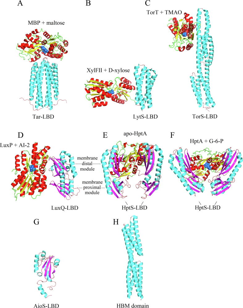 Fig. 2