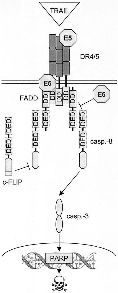 FIG. 8.