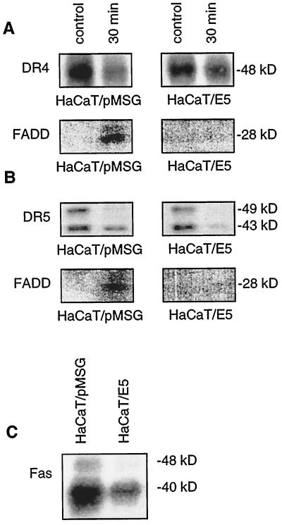 FIG. 5.