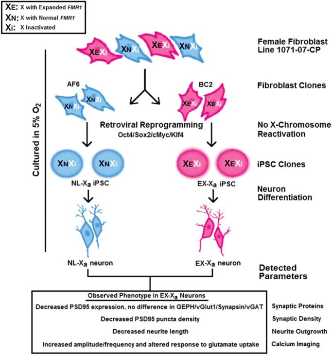 Figure 1.