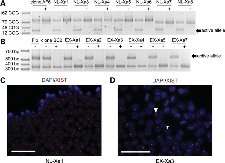 Figure 3.