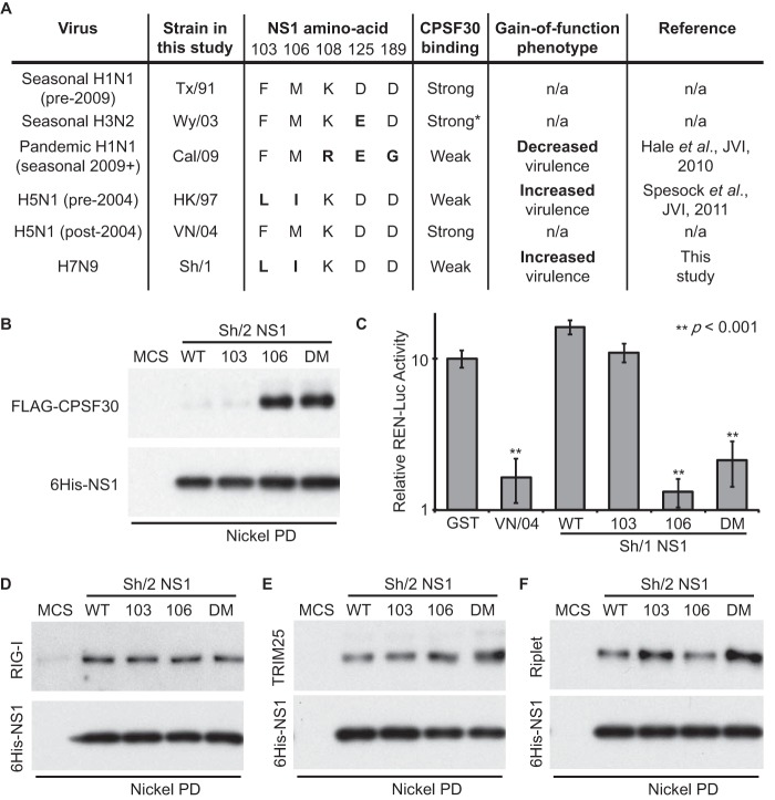 FIG 2