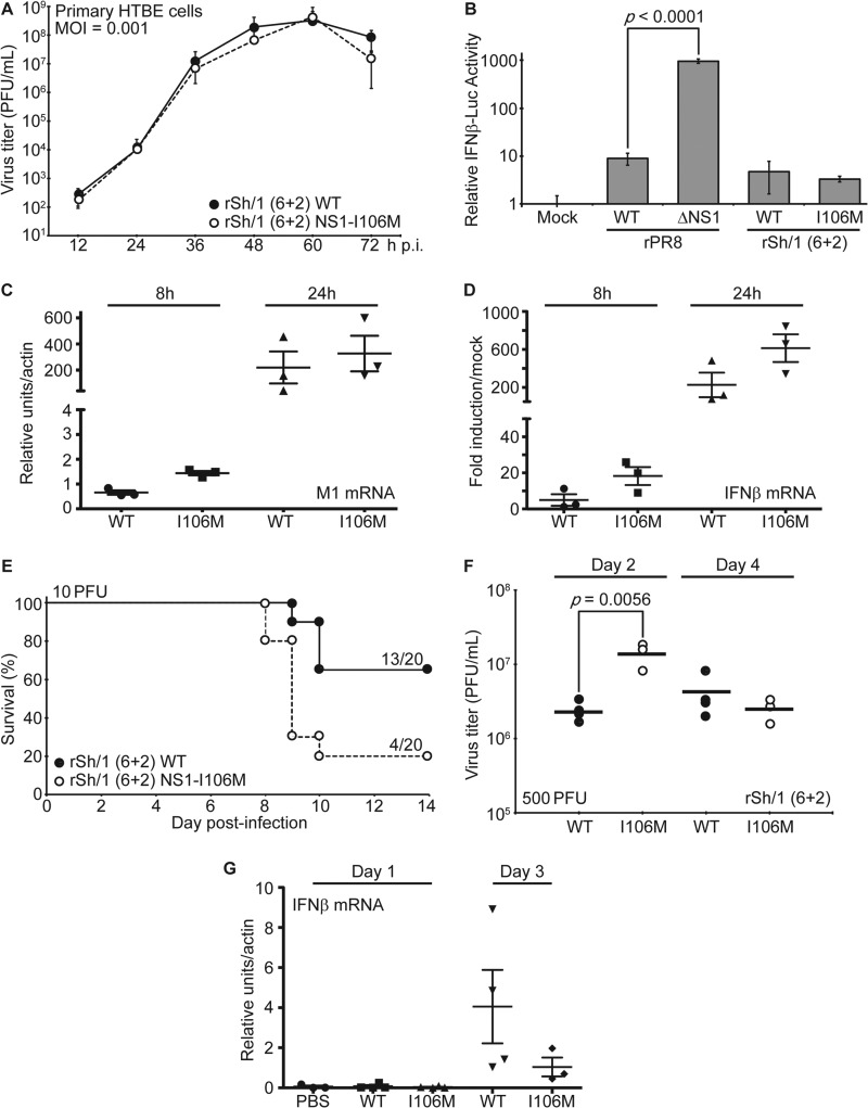 FIG 3