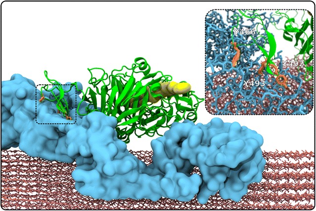 Fig. 8